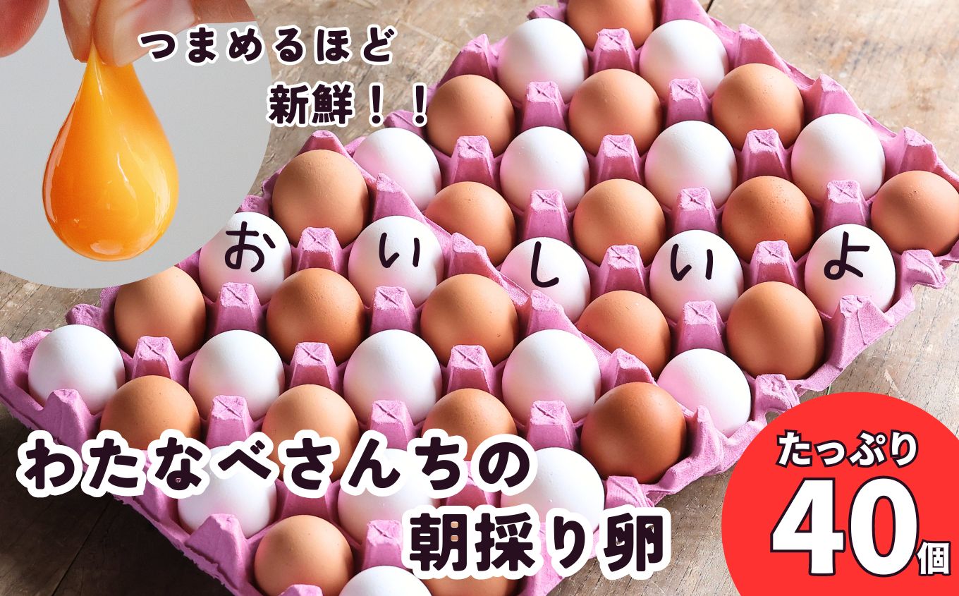 元気たまご40個