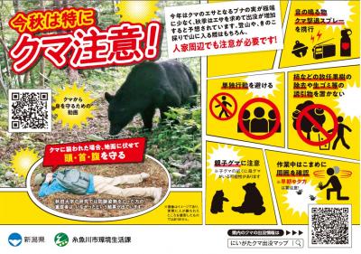 今秋は特にクマ注意
