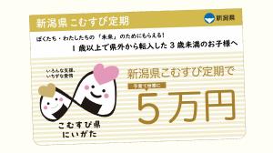 5万円