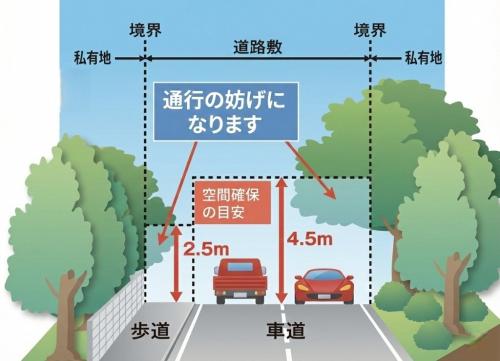 伐採