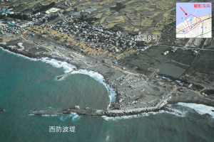 胎動